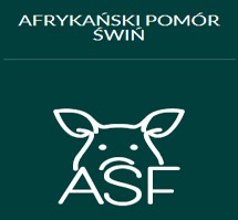 Afrykański Pomór Świń
