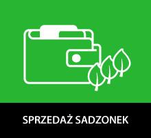 Sprzedaż sadzonek