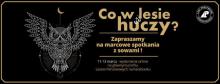 Co w lesie huczy?