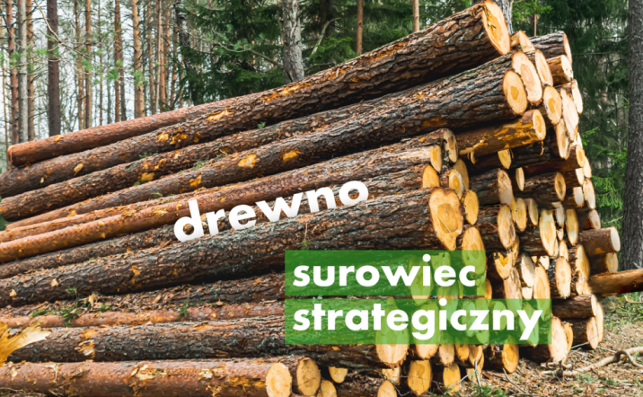Na&#x20;zdjęcie&#x20;stosu&#x20;drewna&#x20;nałożono&#x20;napis&#x3a;&#x20;&#x22;drewno&#x20;surowiec&#x20;strategiczny&#x22;