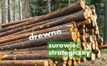 Drewno surowcem strategicznym.